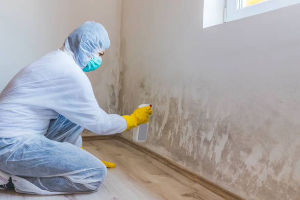 Licensed Mold Testing service in Haymarket, VA - WQB Mold Removal