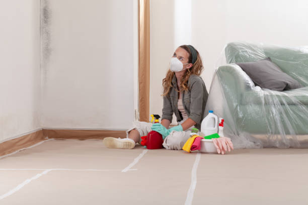Reliable Mold Testing contractor in Haymarket, VA by WQB Mold Removal