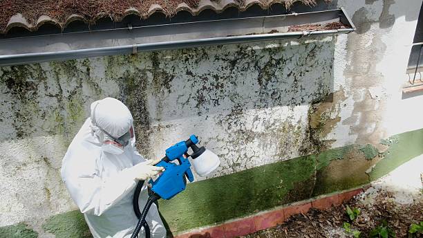 Top rated local Mold Testing specialists in Haymarket, VA